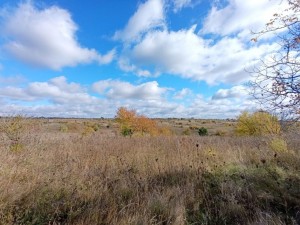 СТ Іскра (г. Хмельницкий, Книжківці) - Продається сільськогосподарська ділянка, 3600 $ - АФНУ