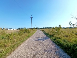 Центральна (с. Лесовые Гриновцы, Хмельницкий район, Східна сторона) - Продається сільськогосподарська ділянка, 5500 $ - АФНУ